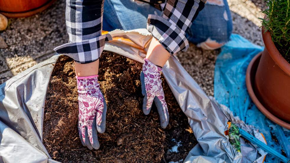 woman holding soil